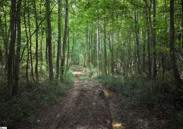 Photo 9 of Land for sale at 00 Dacusville Rd, Marietta, SC 29661 | MLS# 1600636 | Listing updated on 2026-08-18