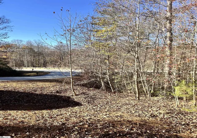 2nd image of 00 Hwy 11 Hwy, Landrum, SC 29356 | MLS# 1575101