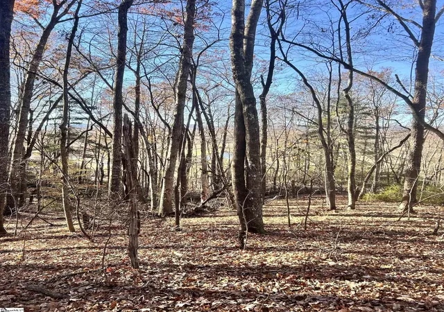 5th image of 00 Hwy 11 Hwy, Landrum, SC 29356 | MLS# 1575101