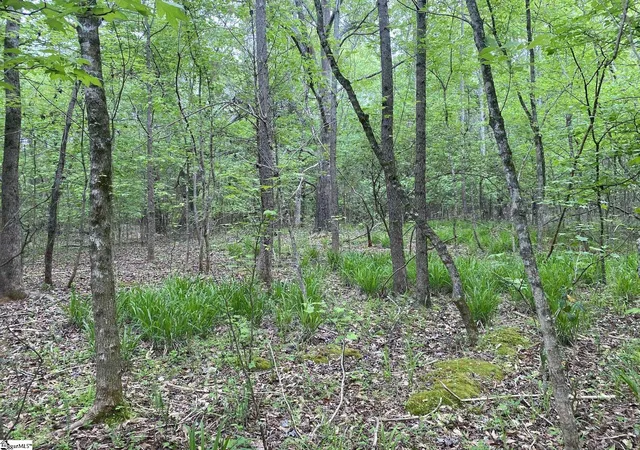 Photo 3 of House for sale at 00 Wingo Rd, Spartanburg, SC 29303 | MLS# 1544841 | Listing updated on 2026-06-01