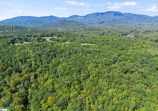 3rd image of 313 Arledge Rd, Landrum, SC 29356 | MLS# 1597456