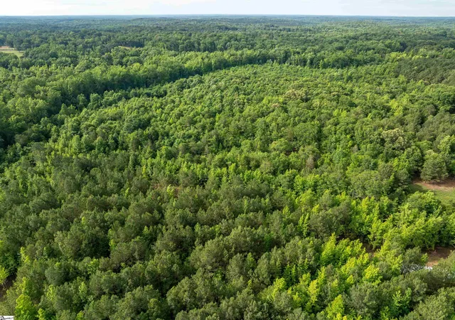 4th image of 00 Terry Rd #Lot 6, Fountain Inn, SC 29644 | MLS# 1594644