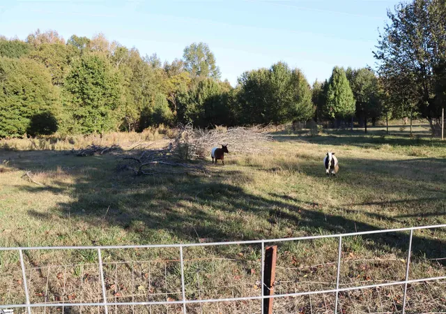 4th image of 240 Simmons Rd, Woodruff, SC 29388 | MLS# 1579161