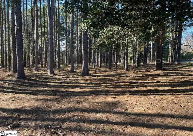 Photo 1 of Land for sale at (Undisclosed), Campobello, SC 29322 | MLS# 1583209 | Listing updated on 2026-08-09