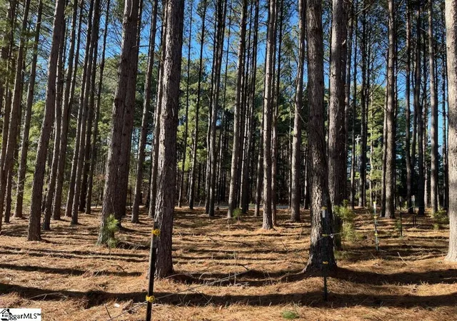 Photo 2 of Land for sale at (Undisclosed), Campobello, SC 29322 | MLS# 1583209 | Listing updated on 2026-08-09