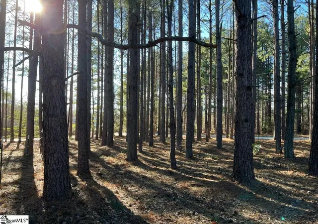 Photo 3 of Land for sale at (Undisclosed), Campobello, SC 29322 | MLS# 1583209 | Listing updated on 2026-08-09