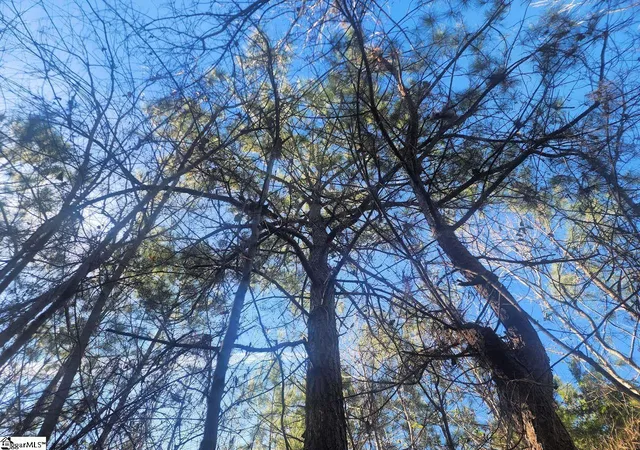 Photo 2 of Land for sale at Holiday Dam Rd, Belton, SC 29627 | MLS# 1579809 | Listing updated on 2026-07-31