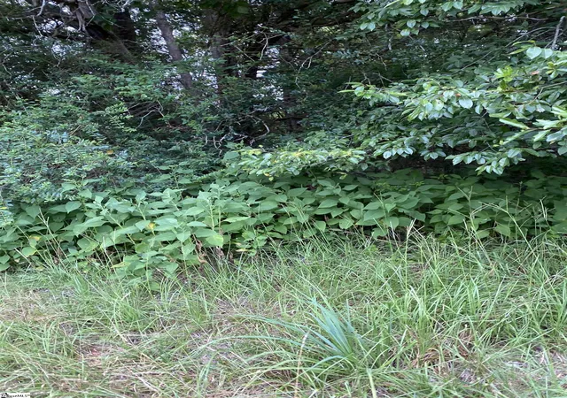 4th image of 00 Edgewater Rd, Woodruff, SC 29388 | MLS# 1563489