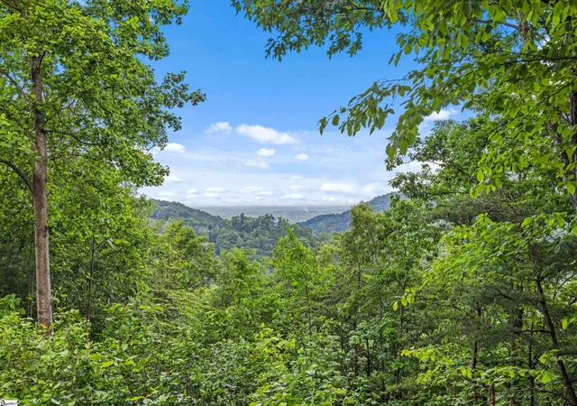 Photo 2 of Land for sale at 214 Craggy Rock Ln, Landrum, SC 29356 | MLS# 1601098 | Listing updated on 2026-08-17