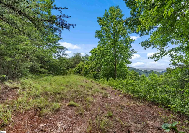 Photo 3 of Land for sale at 214 Craggy Rock Ln, Landrum, SC 29356 | MLS# 1601098 | Listing updated on 2026-08-17