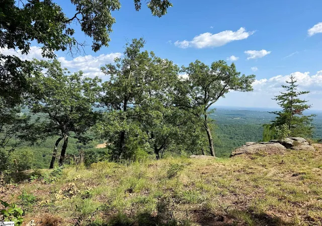 34th image of 0 Southview Ledge Rd #LOT 62, Landrum, SC 29356 | MLS# 1596676