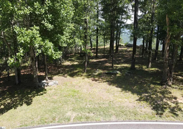4th image of 0 Southview Ledge Rd #LOT 62, Landrum, SC 29356 | MLS# 1596676