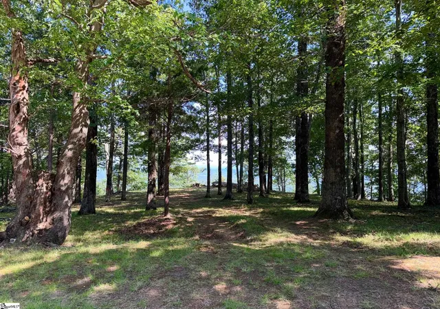 5th image of 0 Southview Ledge Rd #LOT 62, Landrum, SC 29356 | MLS# 1596676