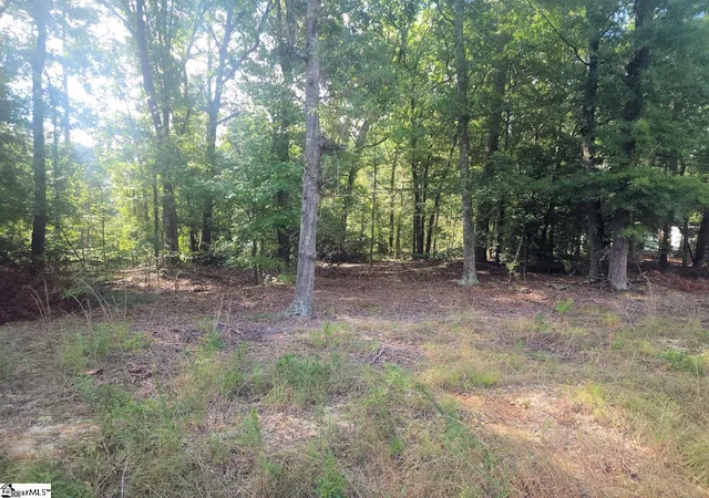 4th image of 220 Cook St, Gray Court, SC 29645 | MLS# 1600638