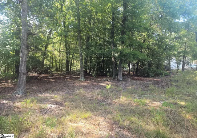 5th image of 220 Cook St, Gray Court, SC 29645 | MLS# 1600638