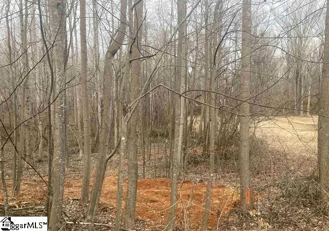 Photo 8 of Land for sale at 159 Rockingham Rd, Duncan, SC 29334 | MLS# 1601931 | Listing updated on 2026-08-26