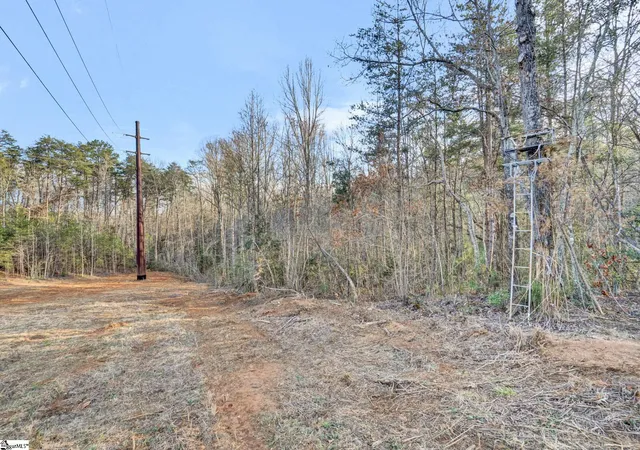 Photo 3 of Land for sale at 00 Cribbs Wy, Easley, SC 29640 | MLS# 1583863 | Listing updated on 2026-09-11