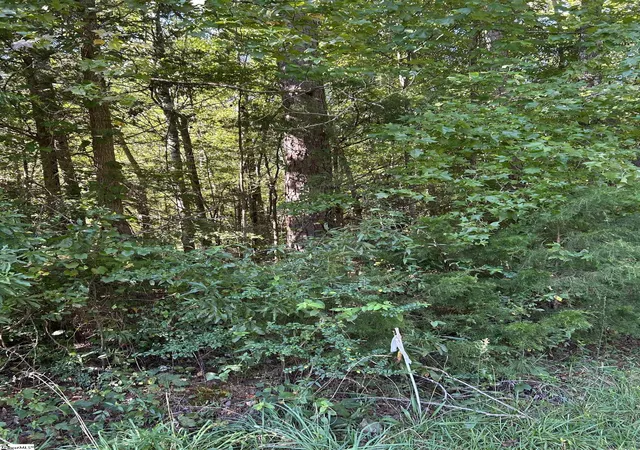 Photo 3 of Land for sale at 0 Sparkstown Dr, Enoree, SC 29335 | MLS# 1572353 | Listing updated on 2026-08-17