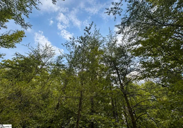 Photo 2 of Sale Pending at 00 Sc Hwy 11, Pickens, SC 29671 | MLS# 1601988 | Listing updated on 2026-08-29