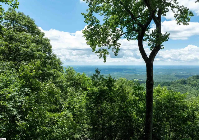 1st image of 28 Raven Rd, Landrum, SC 29356 | MLS# 1562389