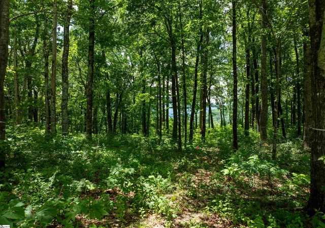 4th image of 28 Raven Rd, Landrum, SC 29356 | MLS# 1562389