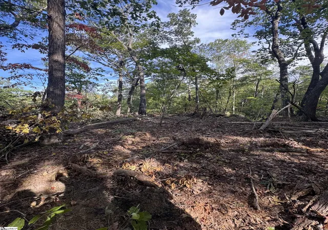 Photo 2 of Land for sale at 00 Hawkins Rd, Greer, SC 29651 | MLS# 1600478 | Listing updated on 2026-08-28