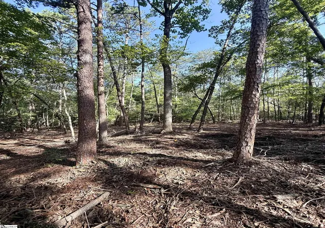 16th image of 0 Thompson Rd #Lot 3, Greer, SC 29651 | MLS# 1591036