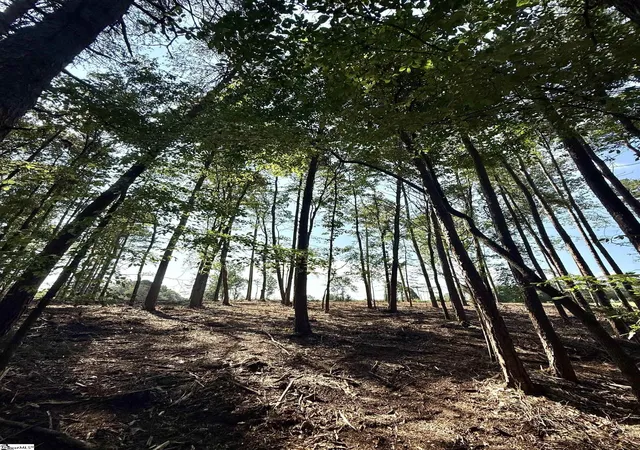 2nd image of 0 Thompson Rd #Lot 3, Greer, SC 29651 | MLS# 1591036