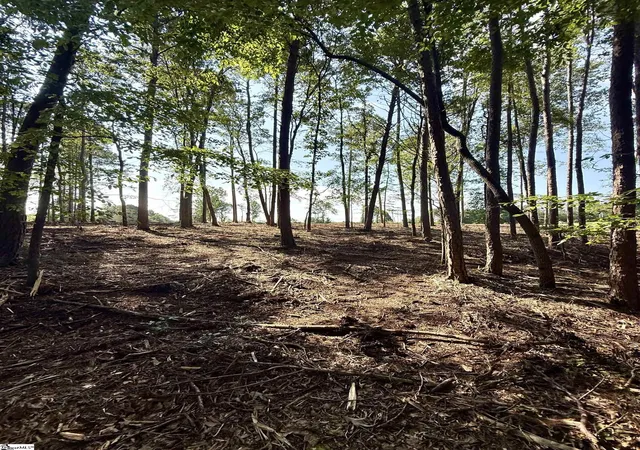 3rd image of 0 Thompson Rd #Lot 3, Greer, SC 29651 | MLS# 1591036