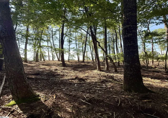 4th image of 0 Thompson Rd #Lot 3, Greer, SC 29651 | MLS# 1591036