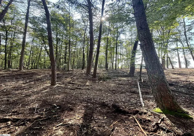 5th image of 0 Thompson Rd #Lot 3, Greer, SC 29651 | MLS# 1591036