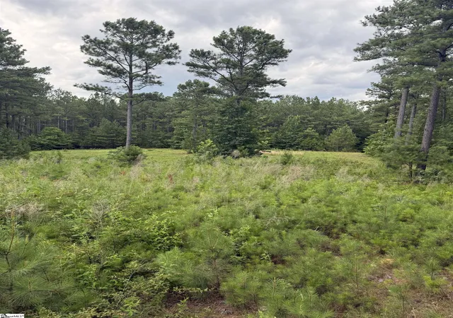 Photo 20 of Land for sale at 0 Walker Rd, Edgefield, SC 29824 | MLS# 1598211 | Listing updated on 2026-08-21