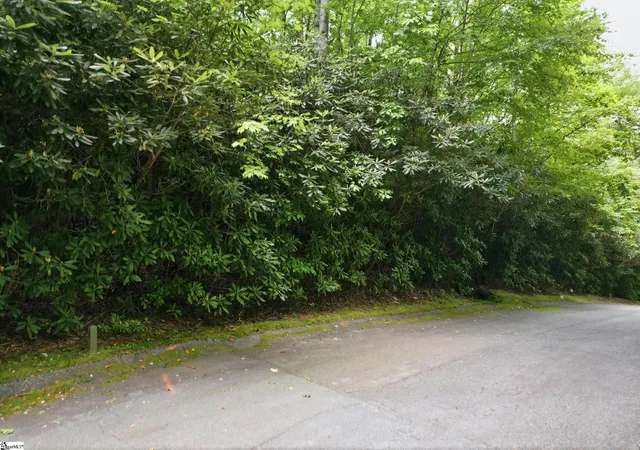 Photo 2 of Land for sale at 127 Conifer Falls Rd, Cleveland, SC 29635 | MLS# 1598283 | Listing updated on 2026-07-28