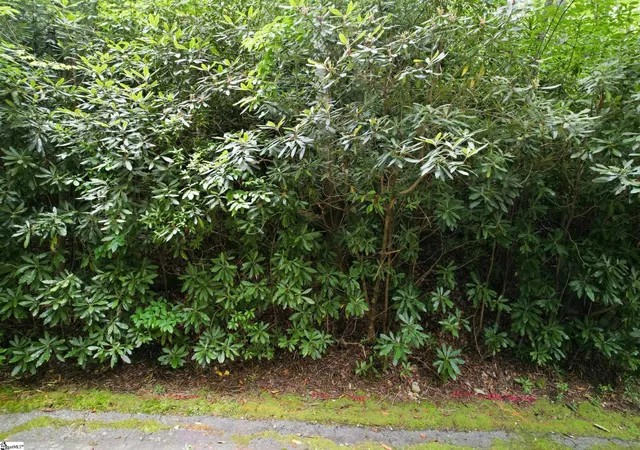 Photo 3 of Land for sale at 127 Conifer Falls Rd, Cleveland, SC 29635 | MLS# 1598283 | Listing updated on 2026-07-28