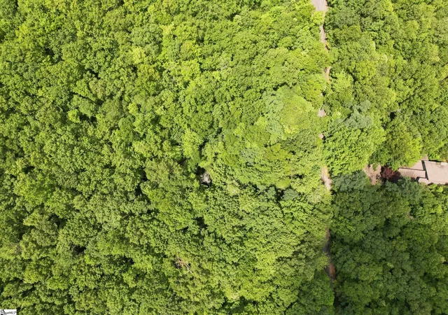 Photo 4 of Land for sale at 127 Conifer Falls Rd, Cleveland, SC 29635 | MLS# 1598283 | Listing updated on 2026-07-28