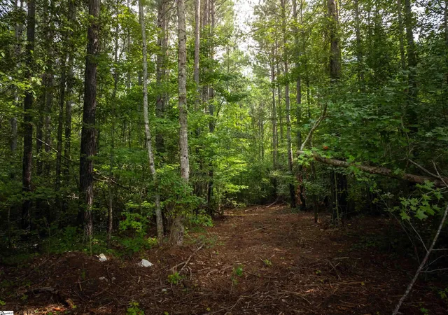 11th image of 00 Pinedale Rd, Liberty, SC 29657 | MLS# 1583879