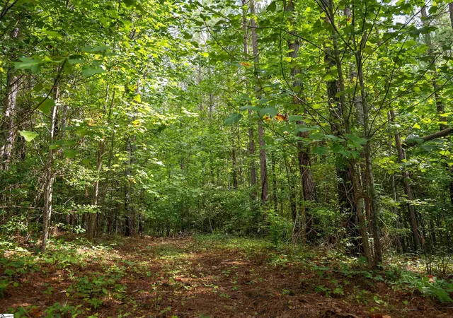 4th image of 00 Pinedale Rd, Liberty, SC 29657 | MLS# 1583879