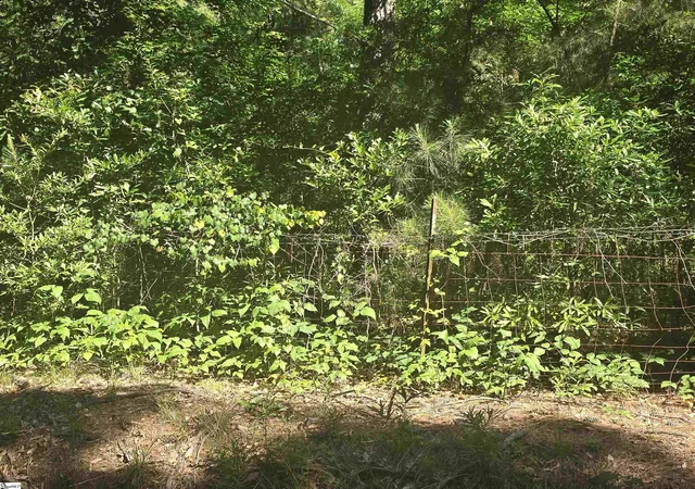 Photo 2 of House for sale at 123 Acres 243 Hwy, Pendleton, SC 29670 | MLS# 1595558 | Listing updated on 2026-09-14