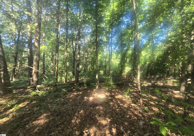 Photo 4 of House for sale at 123 Acres 243 Hwy, Pendleton, SC 29670 | MLS# 1595558 | Listing updated on 2026-09-14
