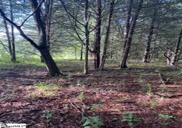 Photo 2 of Land for sale at 0 Mount Shoals Rd, Enoree, SC 29335 | MLS# 1600482 | Listing updated on 2026-08-11