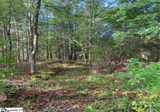 Photo 3 of Land for sale at 0 Mount Shoals Rd, Enoree, SC 29335 | MLS# 1600482 | Listing updated on 2026-08-11