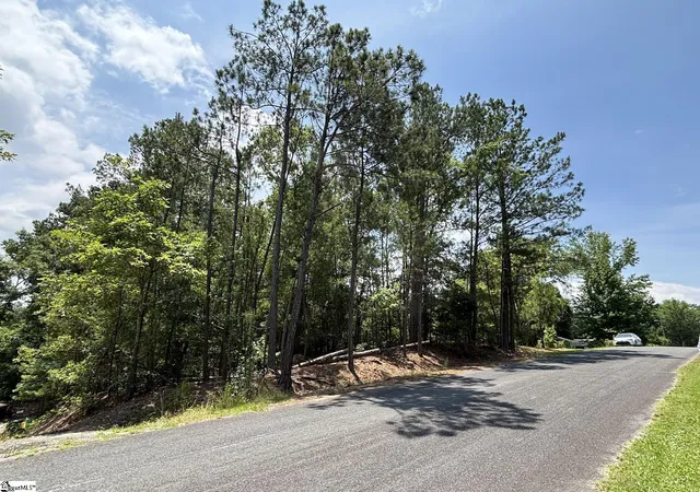 3rd image of 00 Serene Dr, Waterloo, SC 29384 | MLS# 1594673