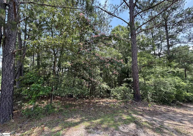 4th image of 00 Serene Dr, Waterloo, SC 29384 | MLS# 1594673