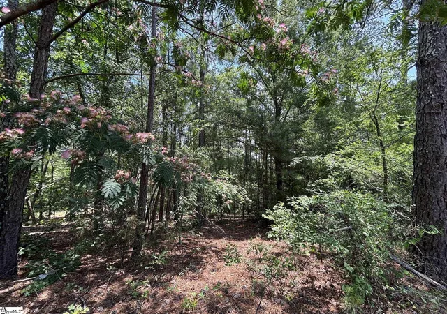 5th image of 00 Serene Dr, Waterloo, SC 29384 | MLS# 1594673