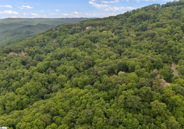 Photo 2 of Land for sale at Oak Shadow Wy, Landrum, SC 29356 | MLS# 1594820 | Listing updated on 2026-08-08