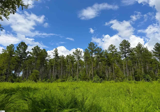Photo 2 of Land for sale at 1180 Seneca St Ext, Calhoun Falls, SC 29628 | MLS# 1598229 | Listing updated on 2026-08-17