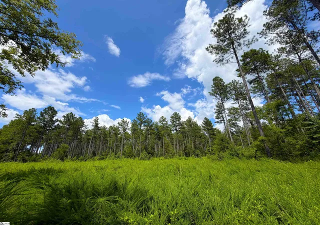 Photo 3 of Land for sale at 1180 Seneca St Ext, Calhoun Falls, SC 29628 | MLS# 1598229 | Listing updated on 2026-08-17