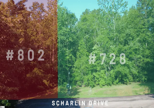 Photo 1 of Sale Pending at 728/802 Scharlin Dr, Pickens, SC 29671 | MLS# 1562060 | Listing updated on 2026-02-27