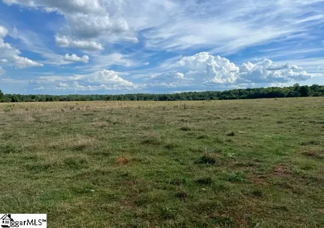 Photo 3 of Land for sale at 1324 Easy Rd, Laurens, SC 29360 | MLS# 1479565 | Listing updated on 2026-09-15