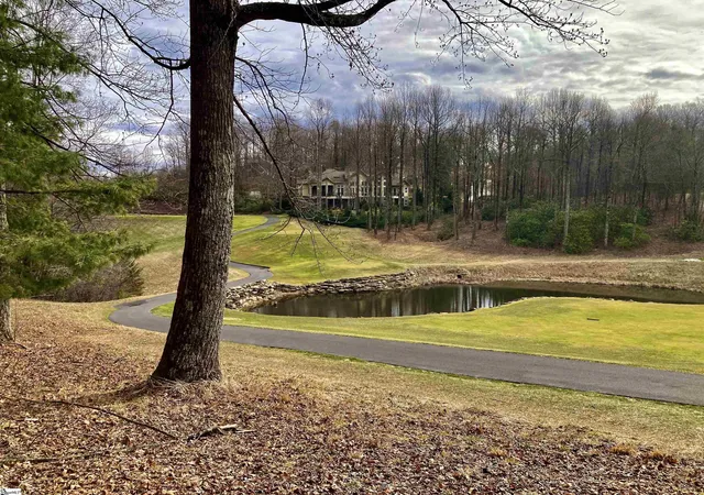 4th image of 238 Snap Dragon Way, Landrum, SC 29356 | MLS# 1516690